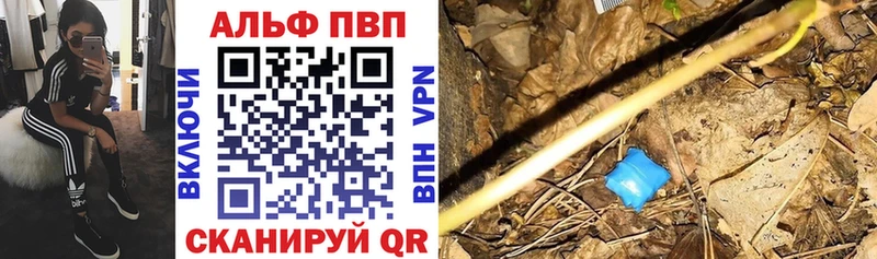 это Telegram  Приволжский  А ПВП СК 