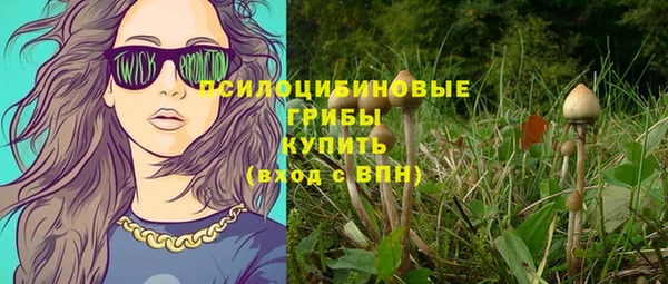 бошки Верхний Тагил