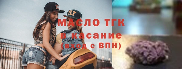 бошки Верхний Тагил