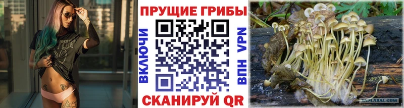 Псилоцибиновые грибы прущие грибы Приволжский